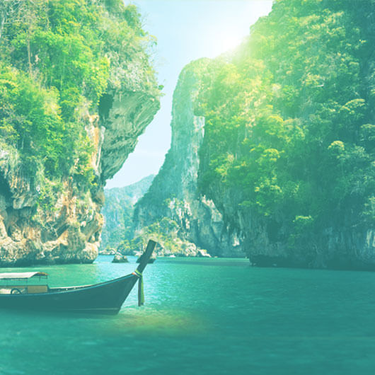 Рисова локшина з соусом «Фо Бо»