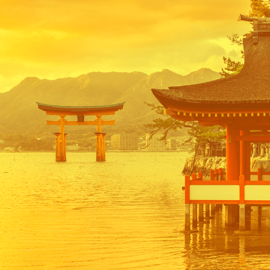 Glads WOK noodles with «Chicken&nbsp;teriyaki» sauce