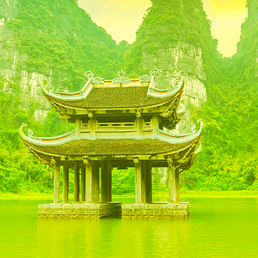 Рисова локшина з соусом «Фо Га»